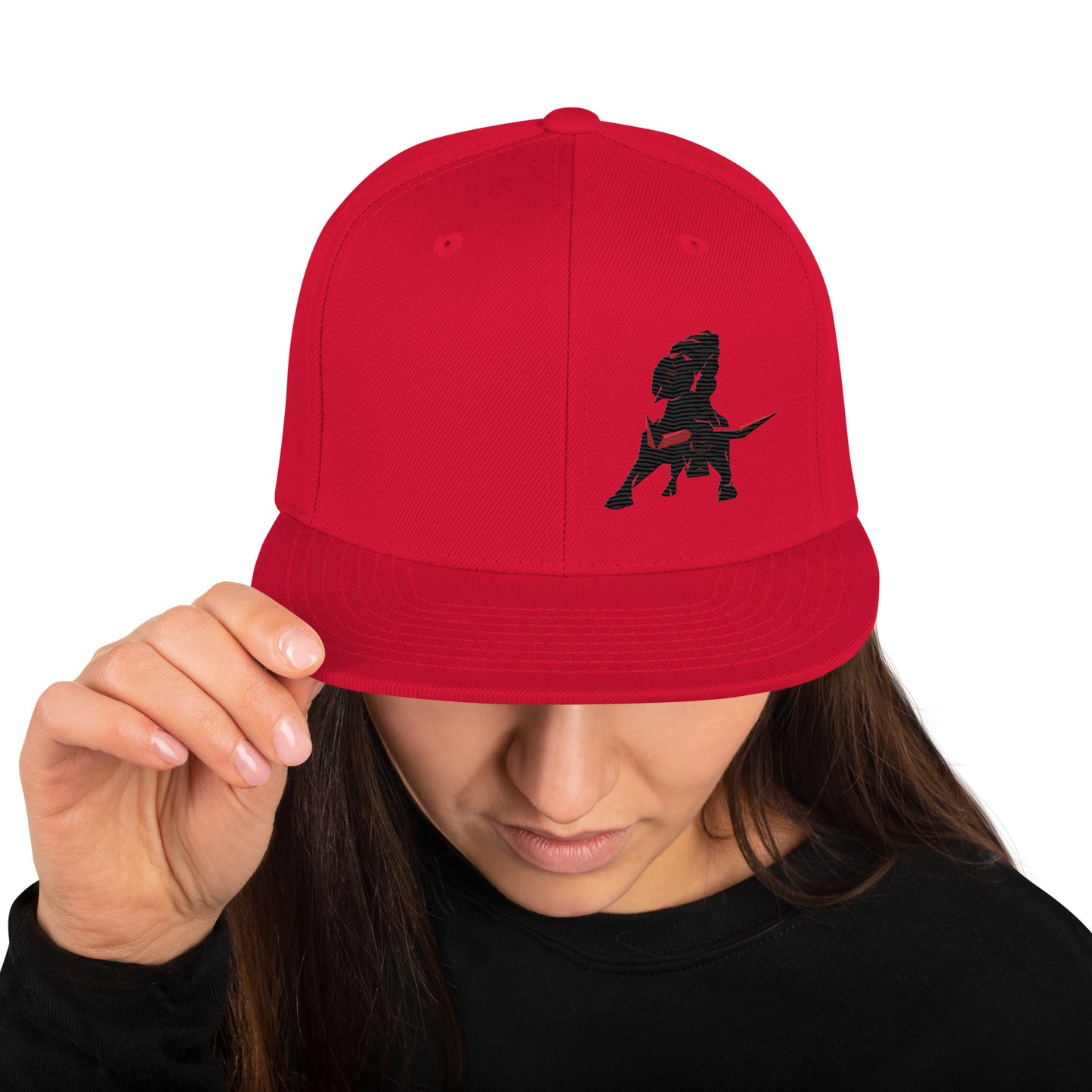 VEA Snapback Hat