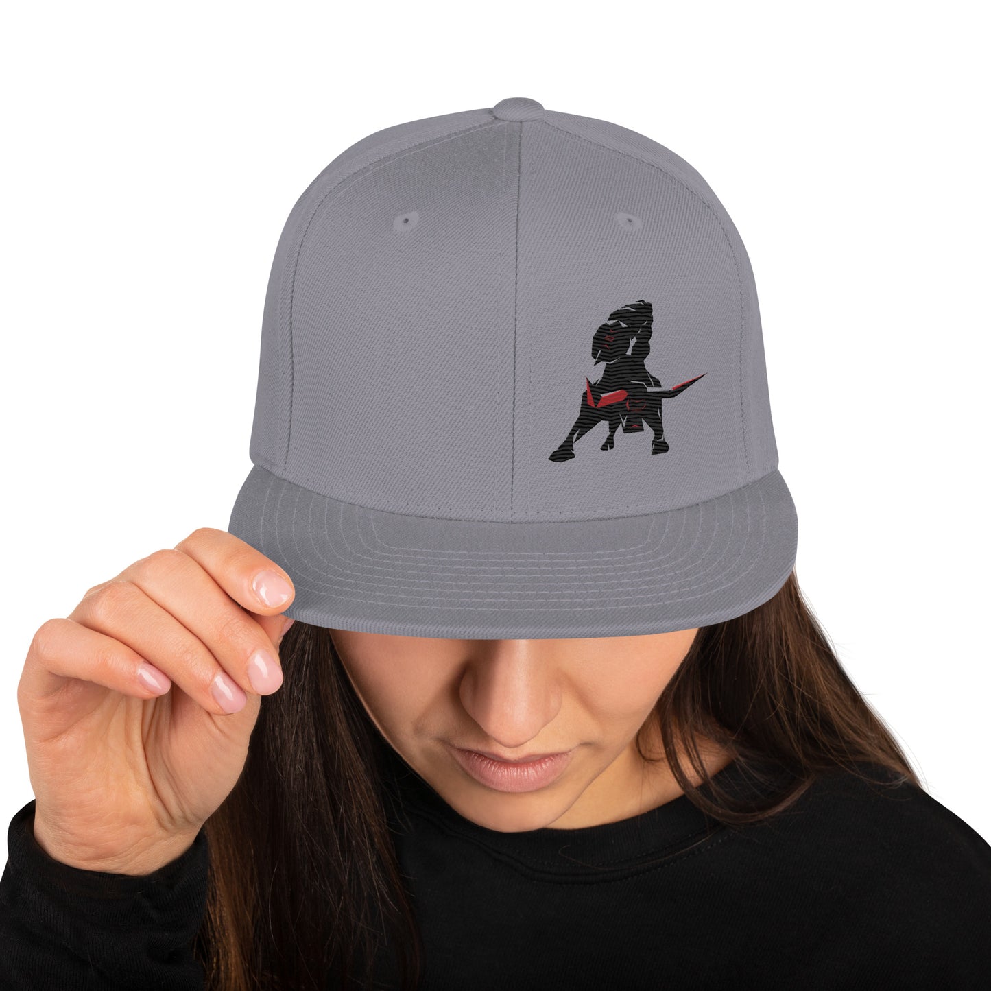 VEA Snapback Hat