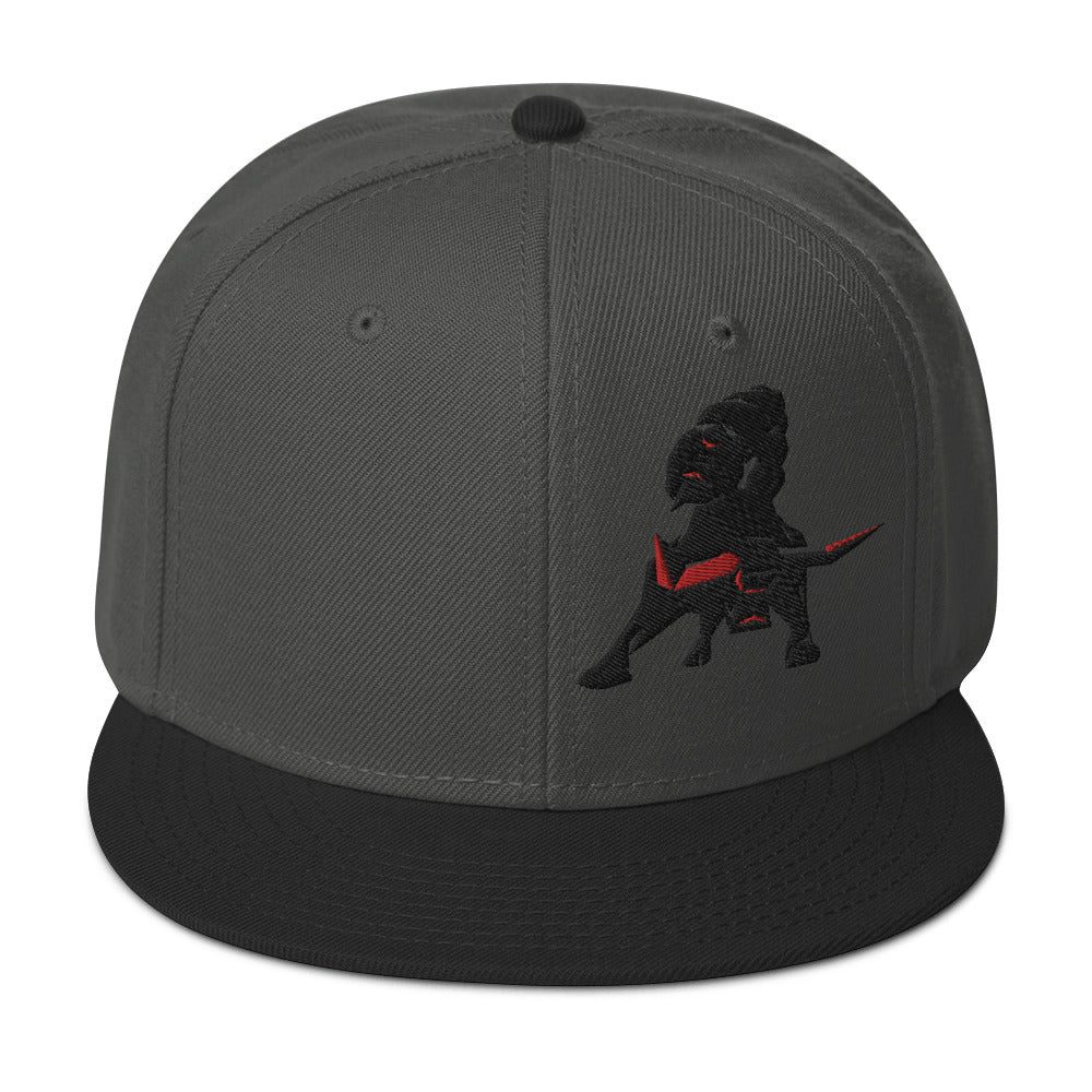 VEA Snapback Hat