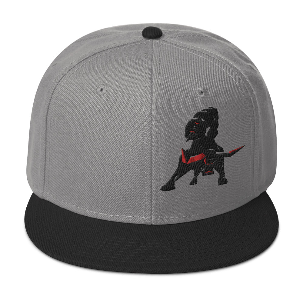 VEA Snapback Hat