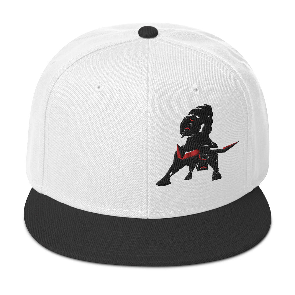 VEA Snapback Hat