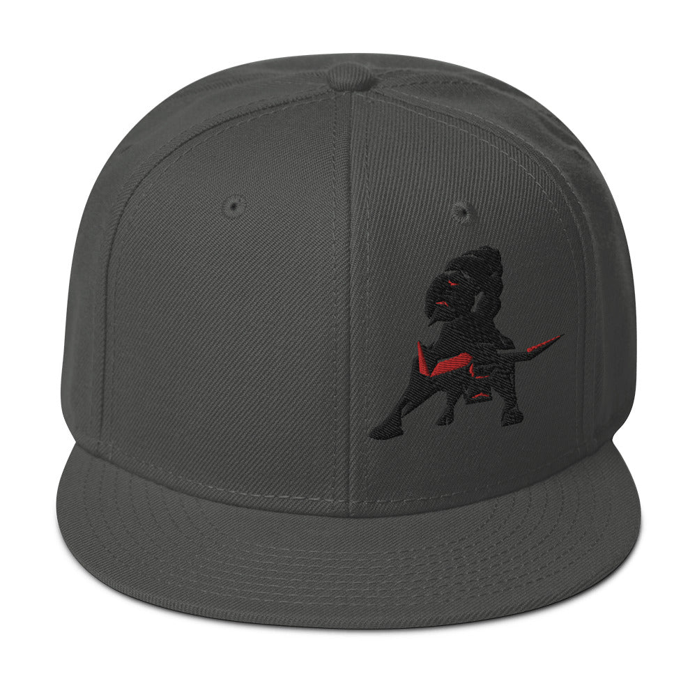 VEA Snapback Hat