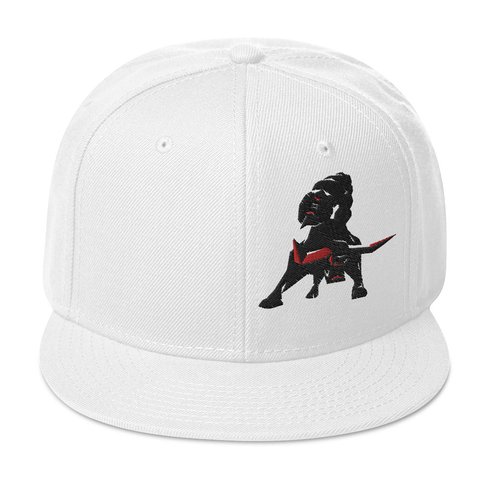 VEA Snapback Hat