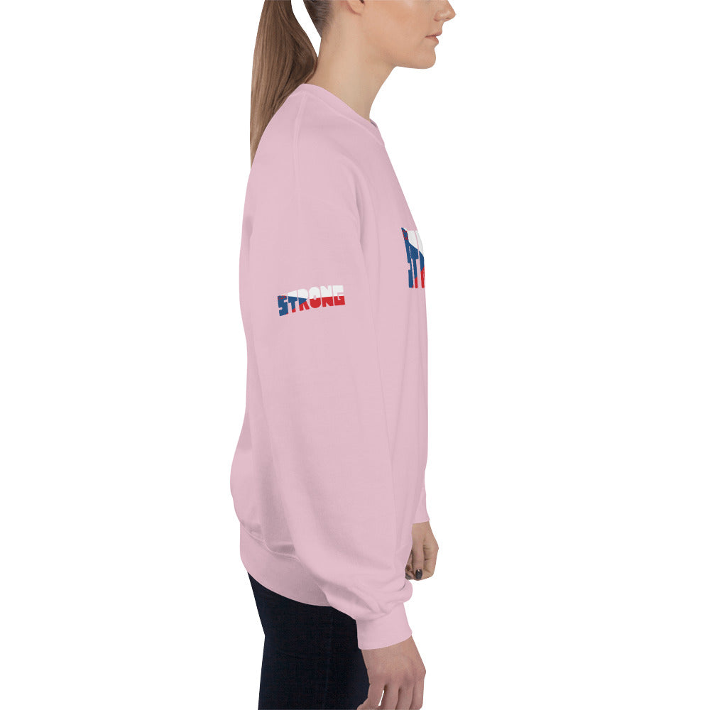 Czech Flag Unisex Sweatshirt