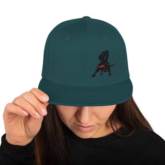 VEA Snapback Hat
