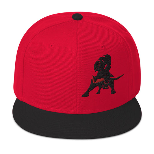 VEA Snapback Hat