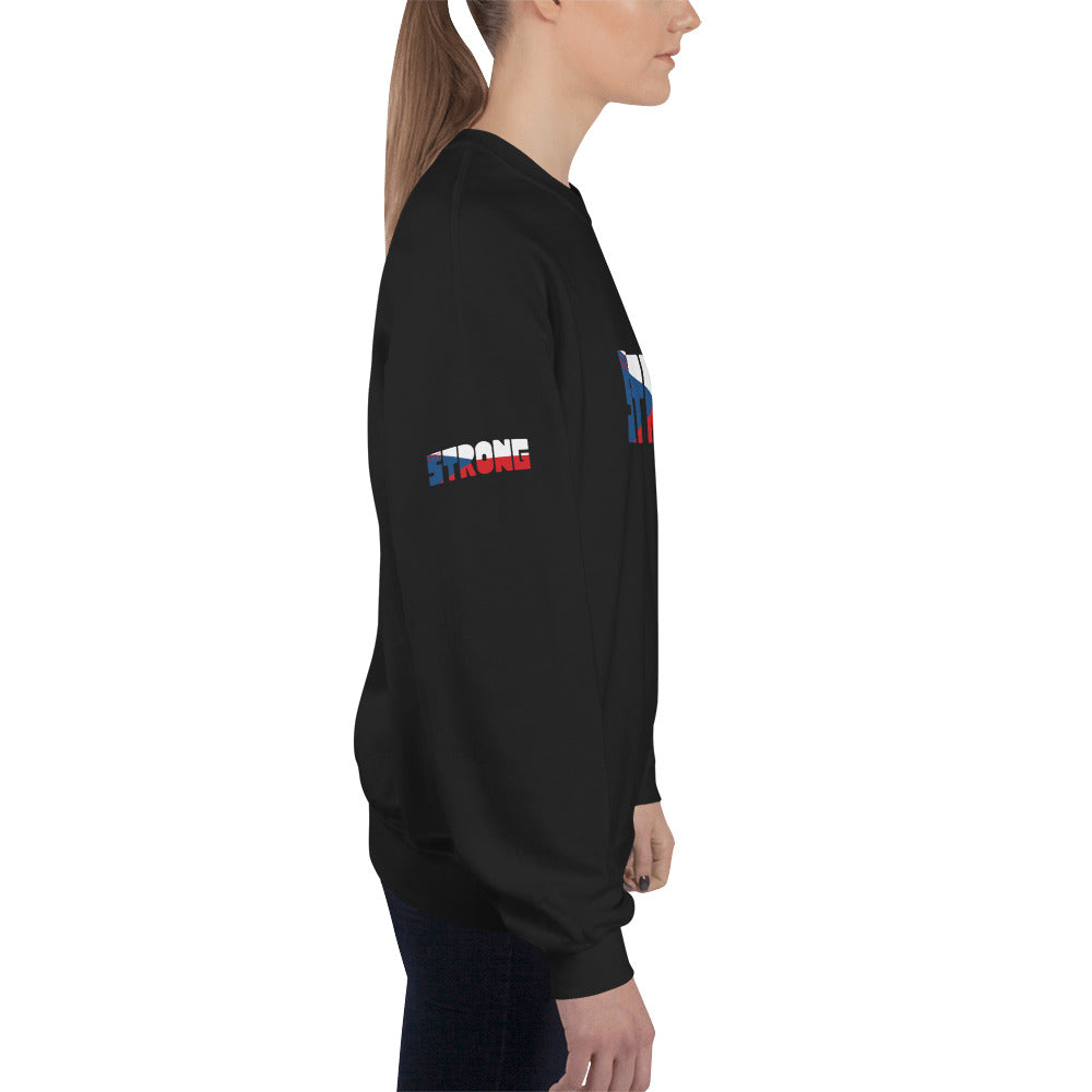 Czech Flag Unisex Sweatshirt