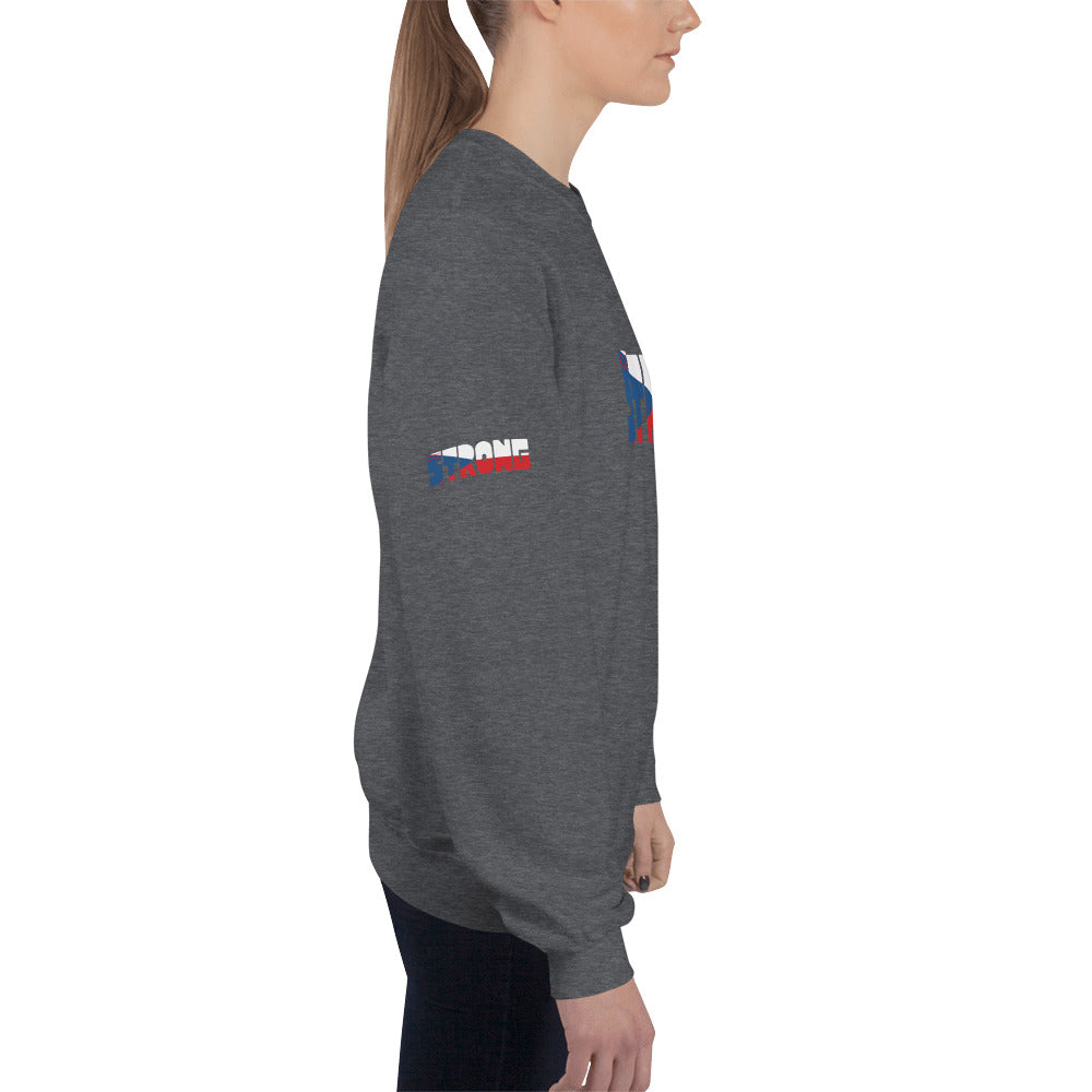 Czech Flag Unisex Sweatshirt