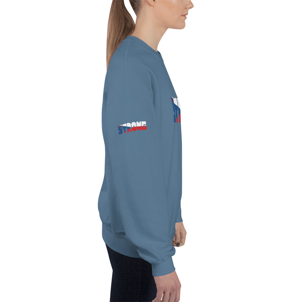 Czech Flag Unisex Sweatshirt