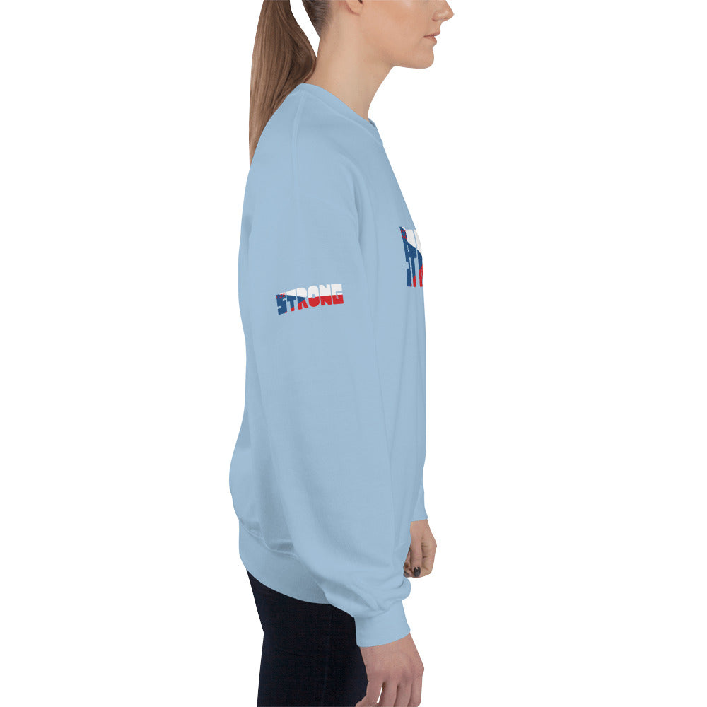 Czech Flag Unisex Sweatshirt