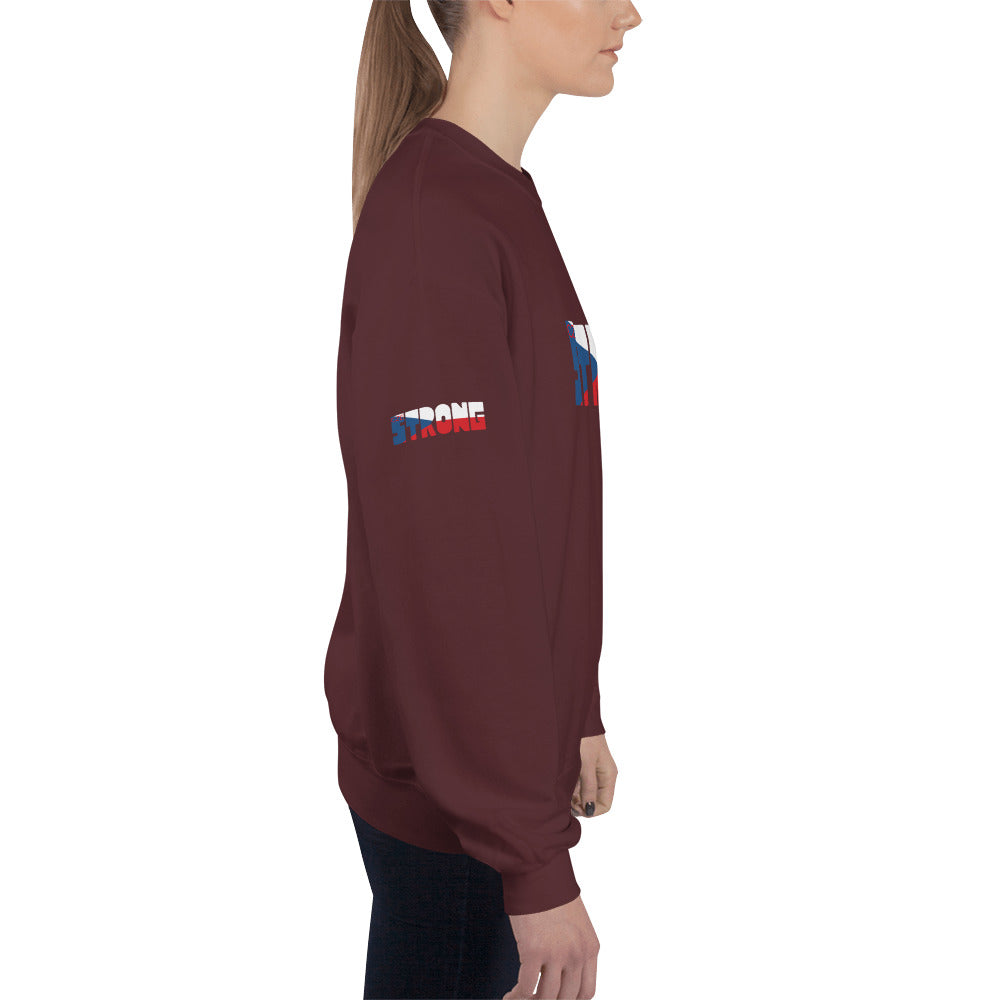 Czech Flag Unisex Sweatshirt