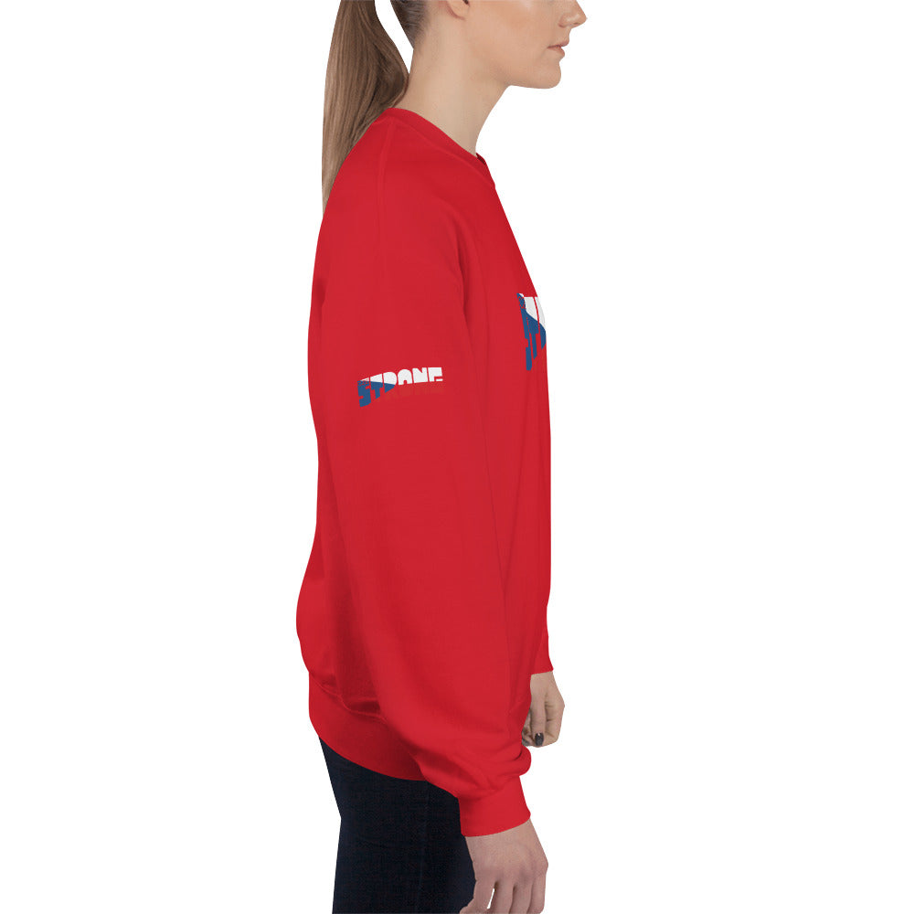 Czech Flag Unisex Sweatshirt