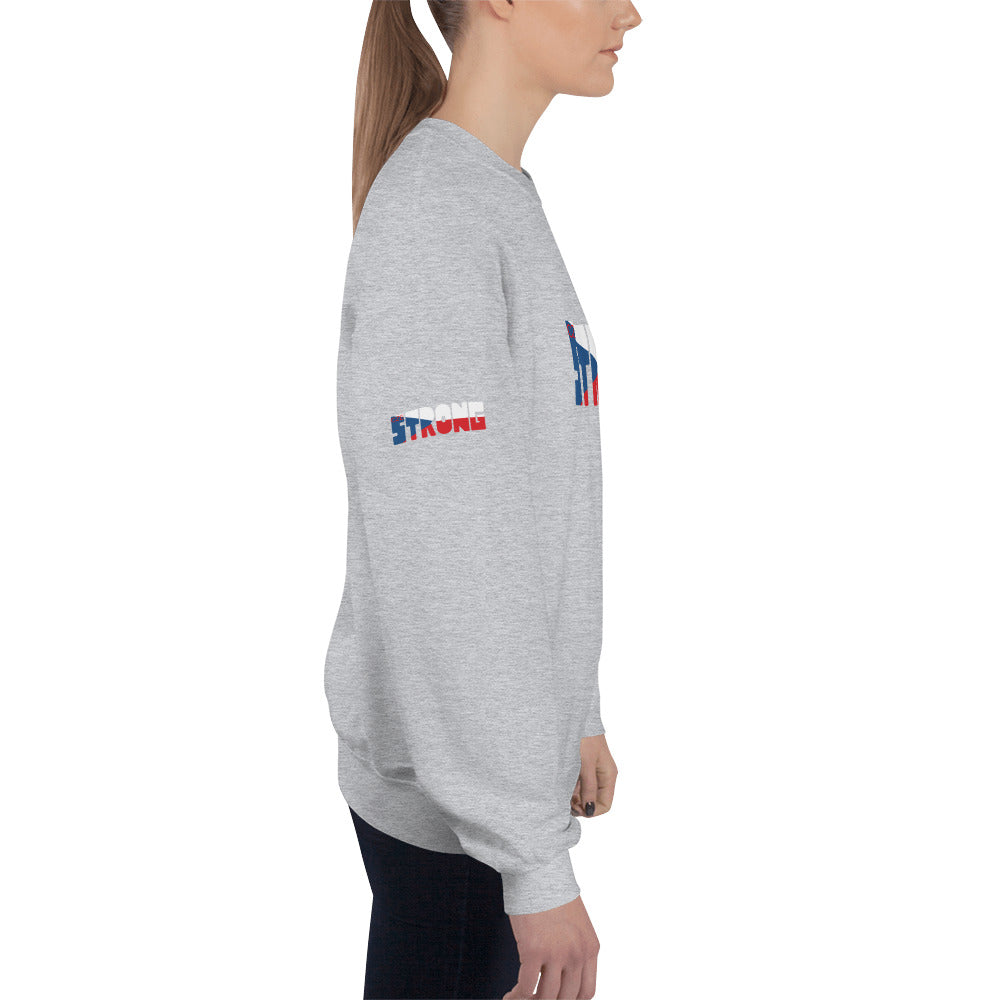 Czech Flag Unisex Sweatshirt